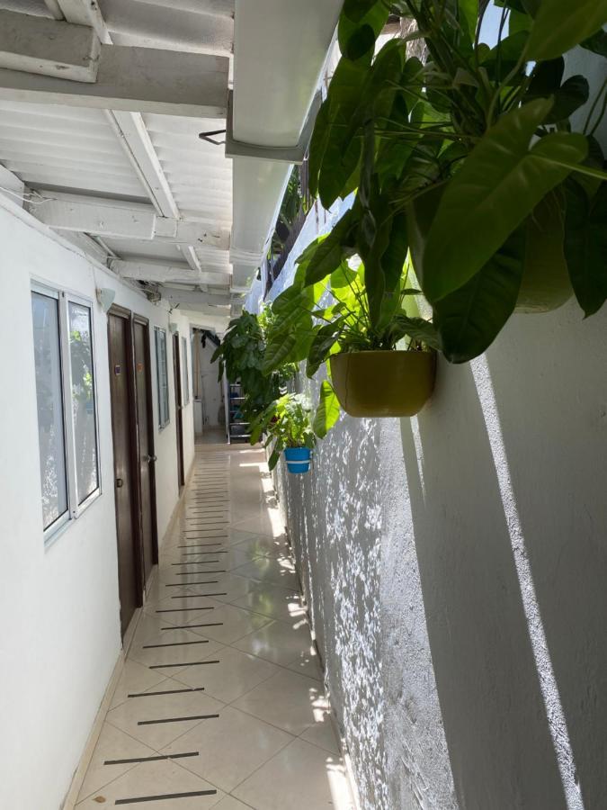 Casa San Juan Homestay *